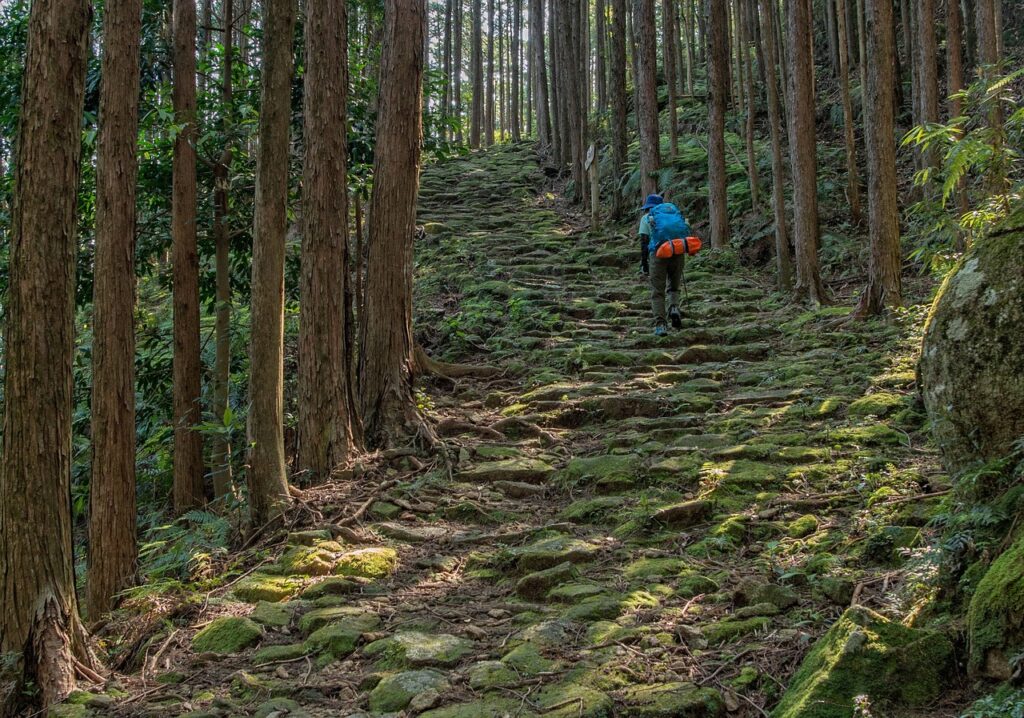 kumano kodo, trekking, moss