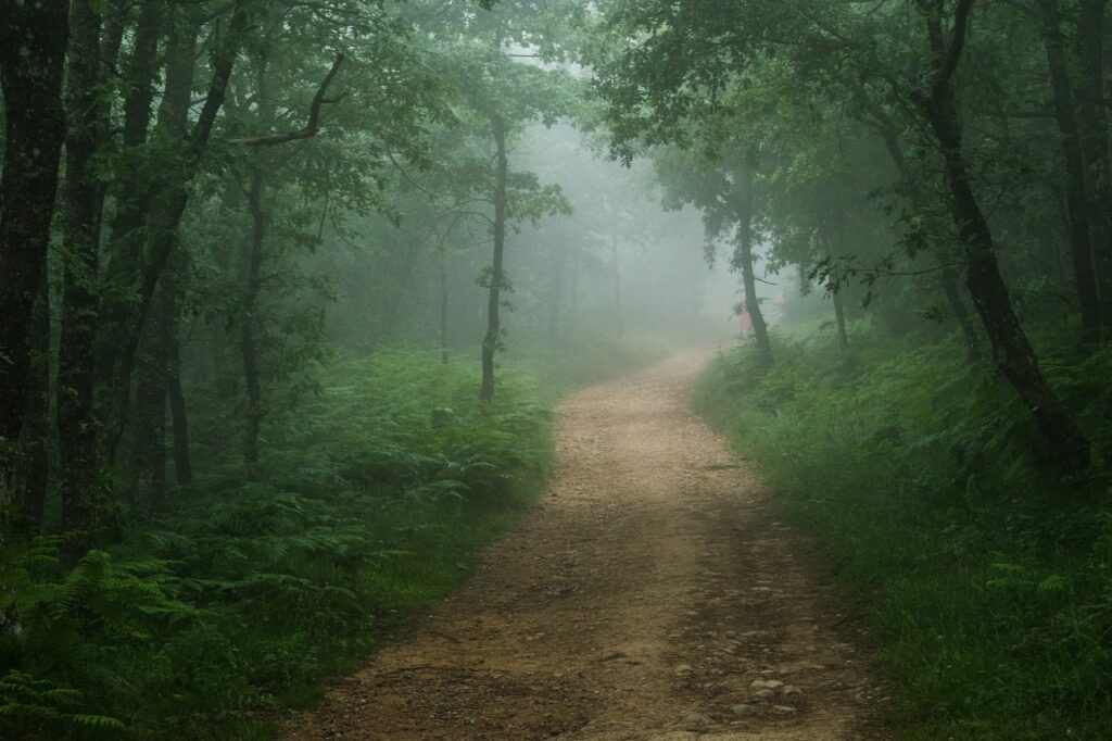 spain, santiago's path, road