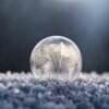 focus photo of round clear glass bowl